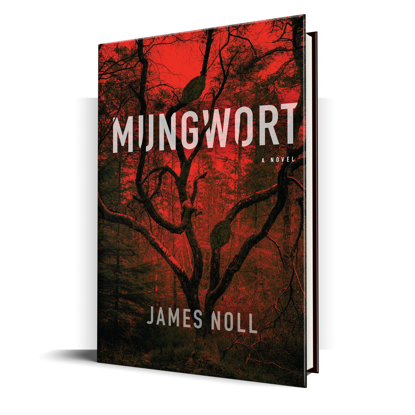 Mungwort